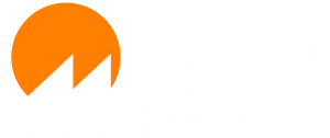 maxy-distribuidora-logo-1